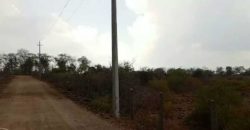 Agricultural Land For Sale