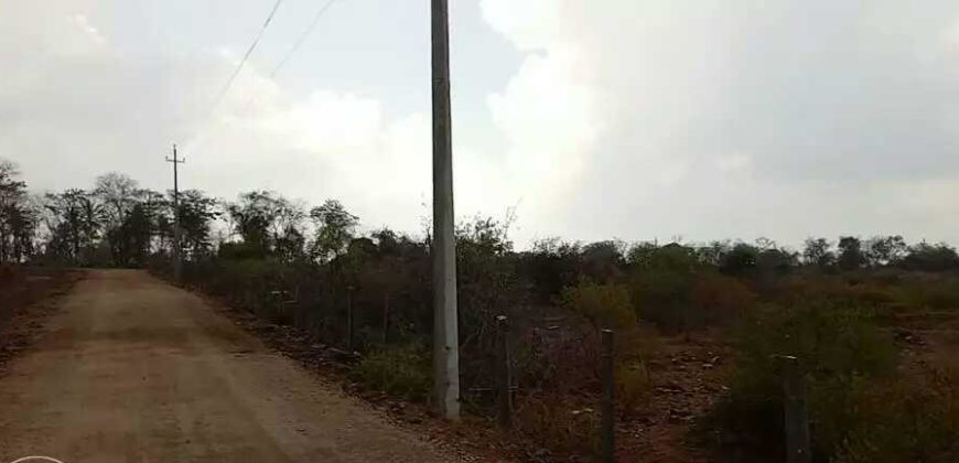Agricultural Land For Sale