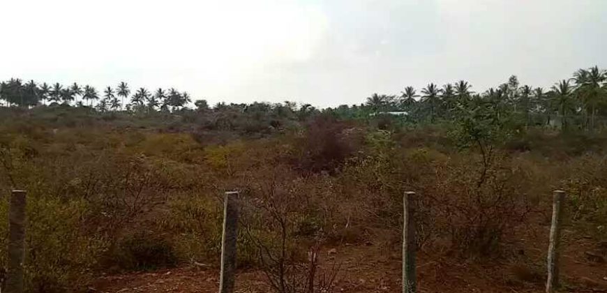 Agricultural Land For Sale