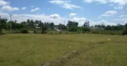 Agriculture Land For Sale