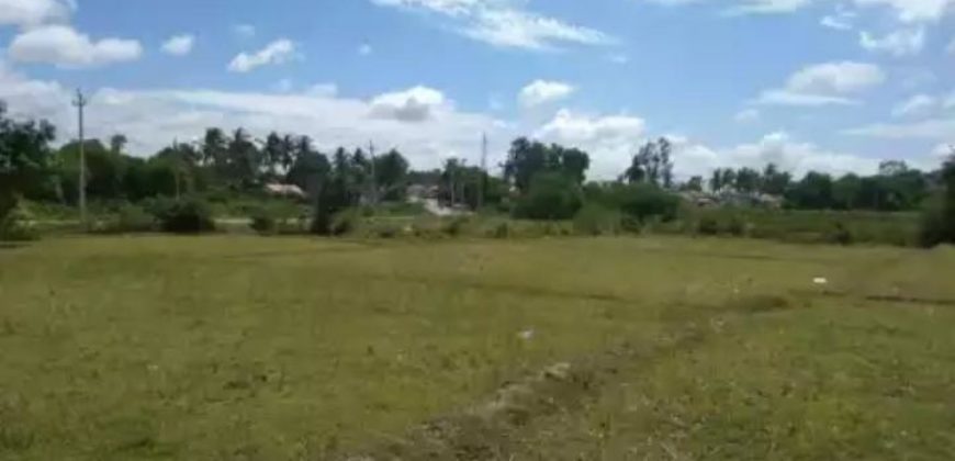 Agriculture Land For Sale