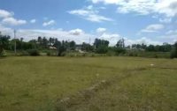 Agriculture Land For Sale