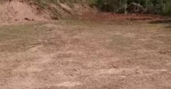 Agriculture Land For Sale