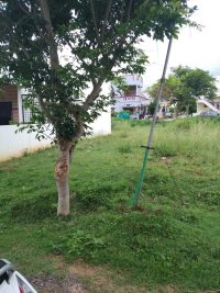 1200sqft East Facing Site Sale Srinagara Mysore