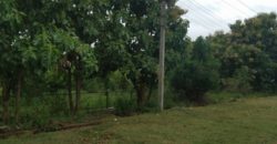 1200 Sqft East Facing Commercial Site Sale Dattagalli Mysore