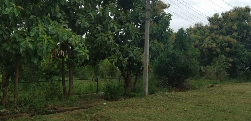 1200 Sqft East Facing Commercial Site Sale Dattagalli Mysore