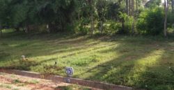 1000 Sqft East Facing Site Sale Vijayanagar Mysore