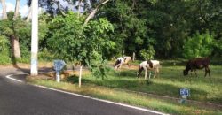 1500 Sqft Site Sale Vijayanagar 4th Stage Mysore