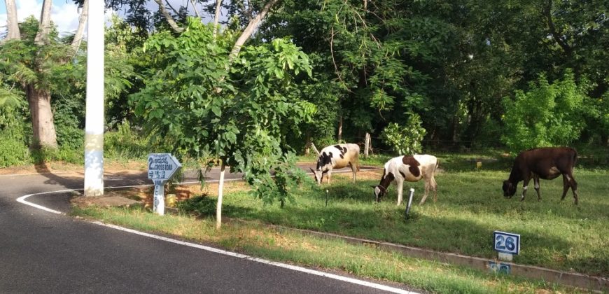 1500 Sqft Site Sale Vijayanagar 4th Stage Mysore