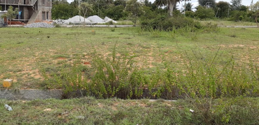 1200sqft Site For Sale Lawyers Layout Mysore
