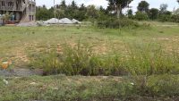 1200sqft Site For Sale Lawyers Layout Mysore