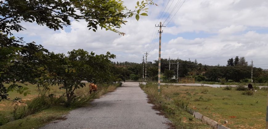1200sqft Site For Sale Lawyers Layout Mysore