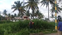 1500 Sqft Site Sale Siddalingapura Mysore