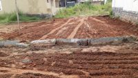 1200 Sqft Site Sale Police Layout 2nd Stage Mysore