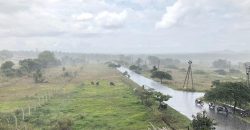 Posh Pg Sale Mysore With Very Good Business