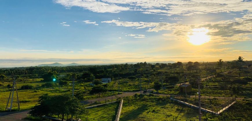 Posh Pg Sale Mysore With Very Good Business