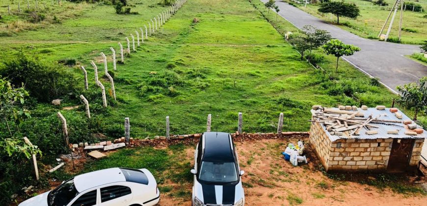 Posh Pg Sale Mysore With Very Good Business