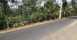 Coorg Coffee Estate For Sale In Bellumadu