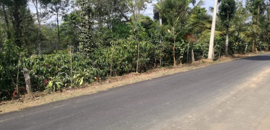 Coorg Coffee Estate For Sale In Bellumadu