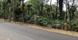 Coorg Coffee Estate For Sale In Bellumadu