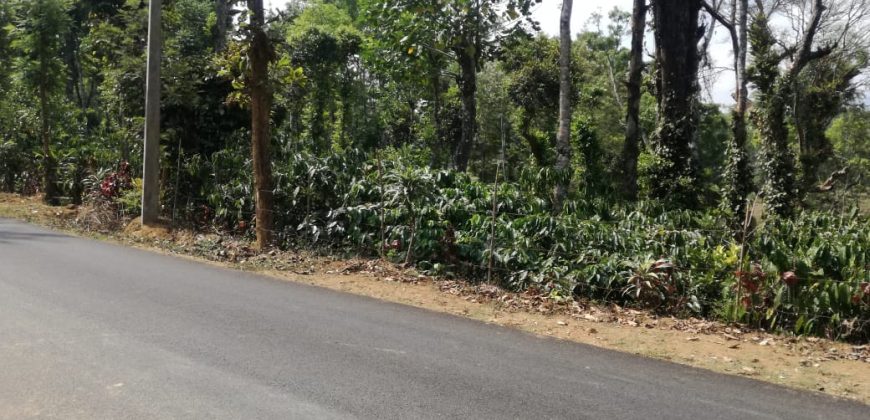 Coorg Coffee Estate For Sale In Bellumadu