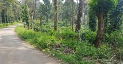 5 Acre Coffee Estate For Sale Urgent Virajpet Taluk Coorg Karnataka