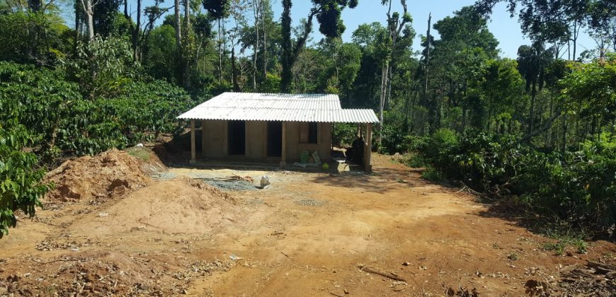 5 Acre Coffee Estate For Sale Urgent Virajpet Taluk Coorg Karnataka