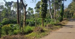 5 Acre Coffee Estate For Sale Urgent Virajpet Taluk Coorg Karnataka