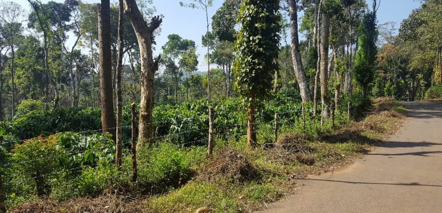 5 Acre Coffee Estate For Sale Urgent Virajpet Taluk Coorg Karnataka