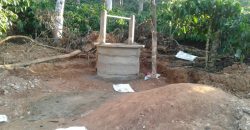 5 Acre Coffee Estate For Sale Urgent Virajpet Taluk Coorg Karnataka