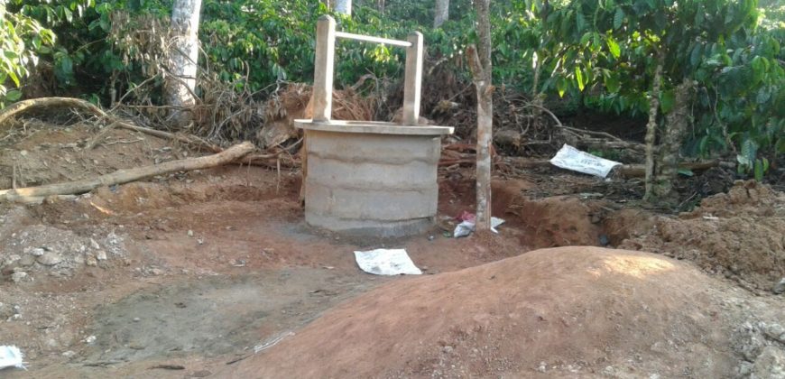 5 Acre Coffee Estate For Sale Urgent Virajpet Taluk Coorg Karnataka