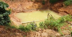 5 Acre Coffee Estate For Sale Urgent Virajpet Taluk Coorg Karnataka