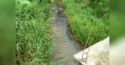 8 Acre Estate Sale Gonikoppa  Road, Mysore