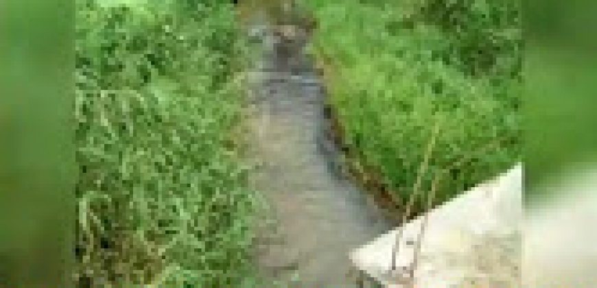 8 Acre Estate Sale Gonikoppa  Road, Mysore