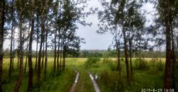 27 Acre Farm Land Sale Hunsuru  Road, Mysore