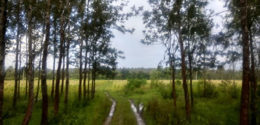 27 Acre Farm Land Sale Hunsuru  Road, Mysore