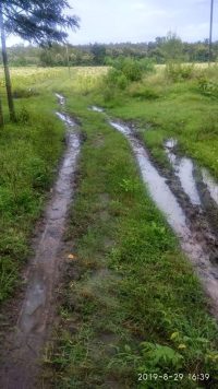 27 Acre Farm Land Sale Hunsuru  Road, Mysore