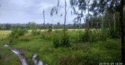 27 Acre Farm Land Sale Hunsuru  Road, Mysore