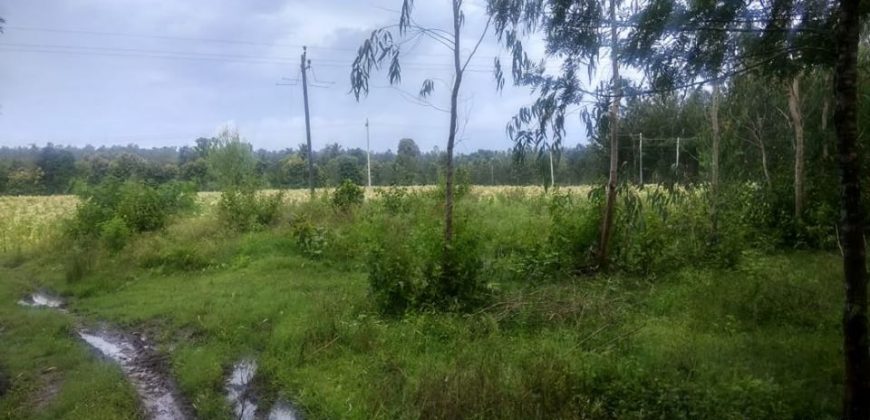 27 Acre Farm Land Sale Hunsuru  Road, Mysore