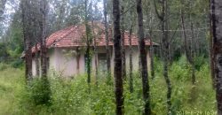 27 Acre Farm Land Sale Hunsuru  Road, Mysore