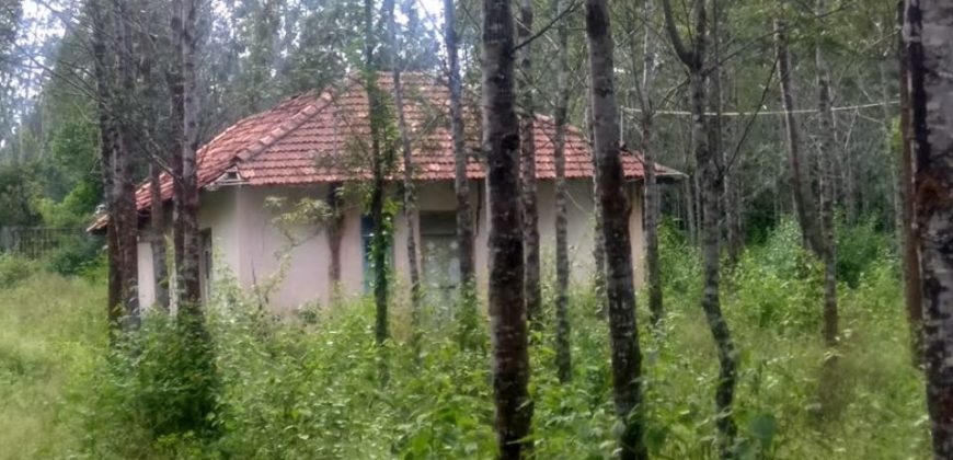 27 Acre Farm Land Sale Hunsuru  Road, Mysore