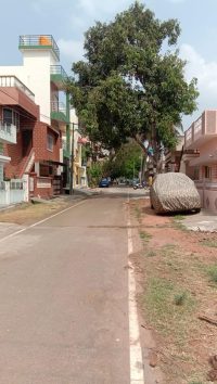 1280 Sqft North West Corner Residential Site Sale Vivekananda Circle, Mysore