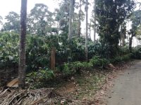 5.85 Acre Coffee Estate Sale Badagarakeri, Coorg