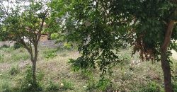 2400 Sqft West Face Residential Site Sale Vijayanagar, Mysore