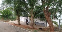 2400 Sqft East Face Residential Site Sale Dattagalli , Mysore
