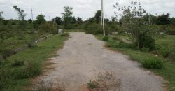2400 Sqft West Face Residential Site Sale Dattagalli, Mysore