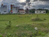 1500 Sqft East Face Residential Site Sale University Layout, Mysore