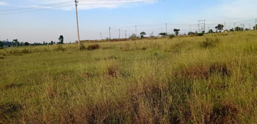 1200 Sqft South Face Residential Site Sale Suvarna Layout, Mysore