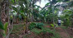 1500 Sqft East Face Residential Site Sale Sbm Layout, Mysore
