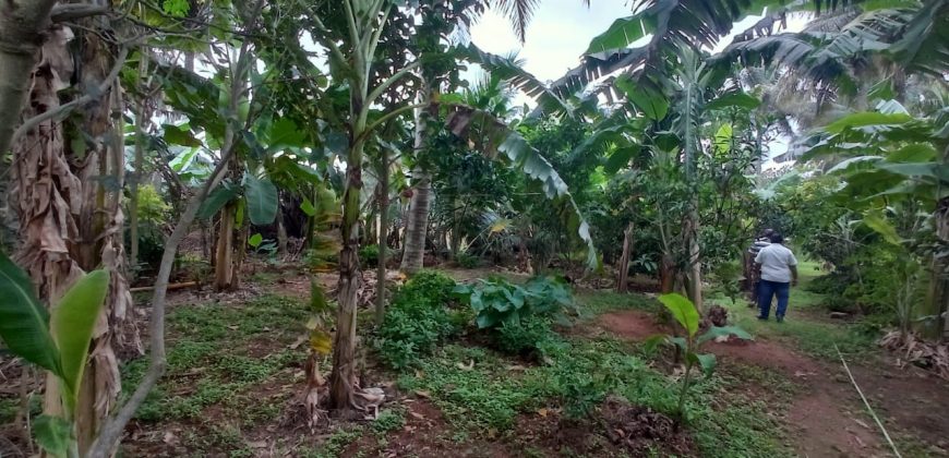 1500 Sqft East Face Residential Site Sale Sbm Layout, Mysore